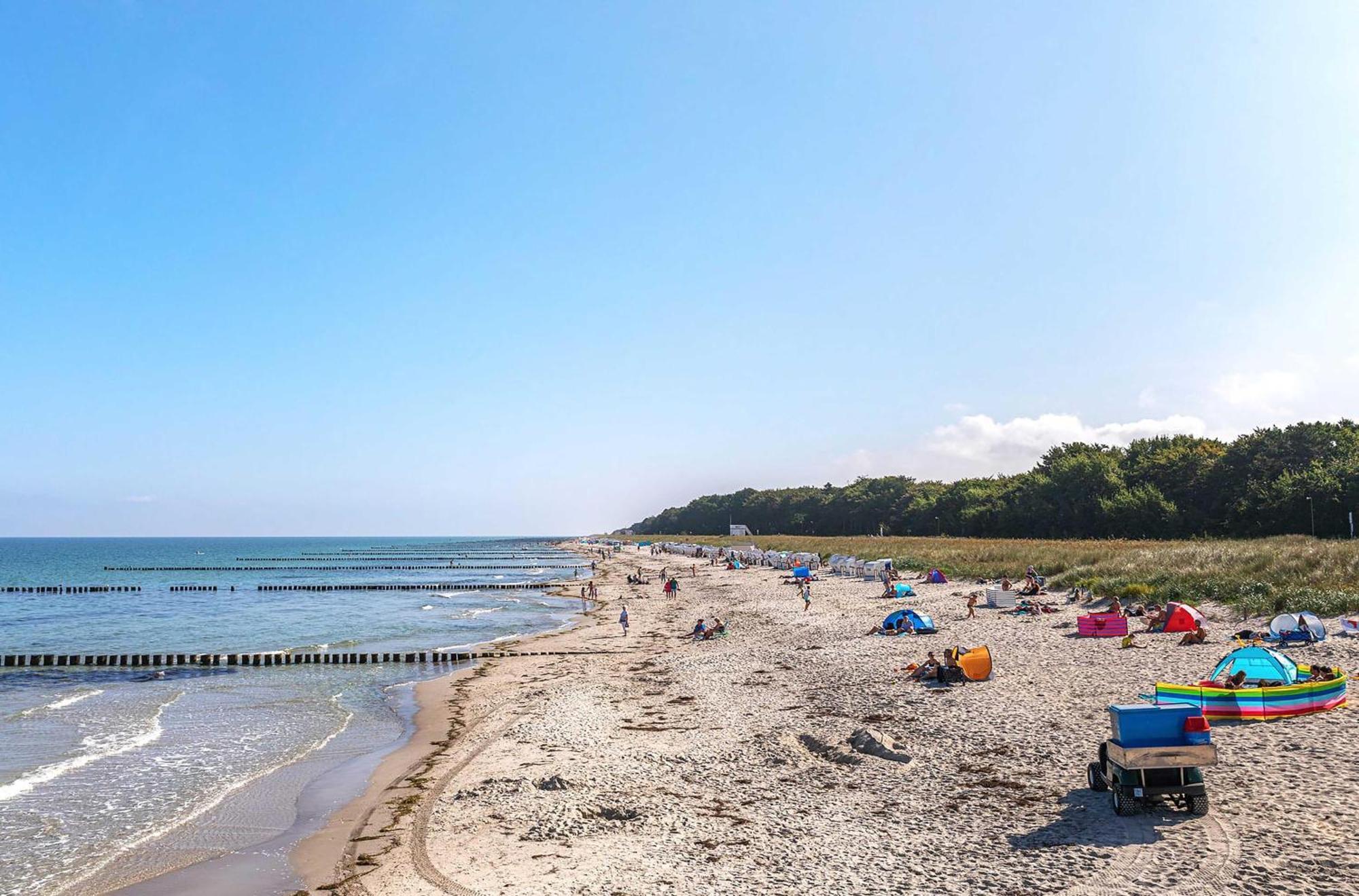 Seebaer Mit Terrasse Ostseeheilbad Ostseeheilbad Zingst Exterior foto