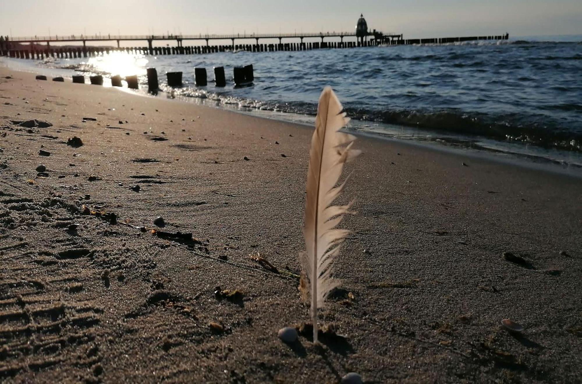 Seebaer Mit Terrasse Ostseeheilbad Ostseeheilbad Zingst Exterior foto